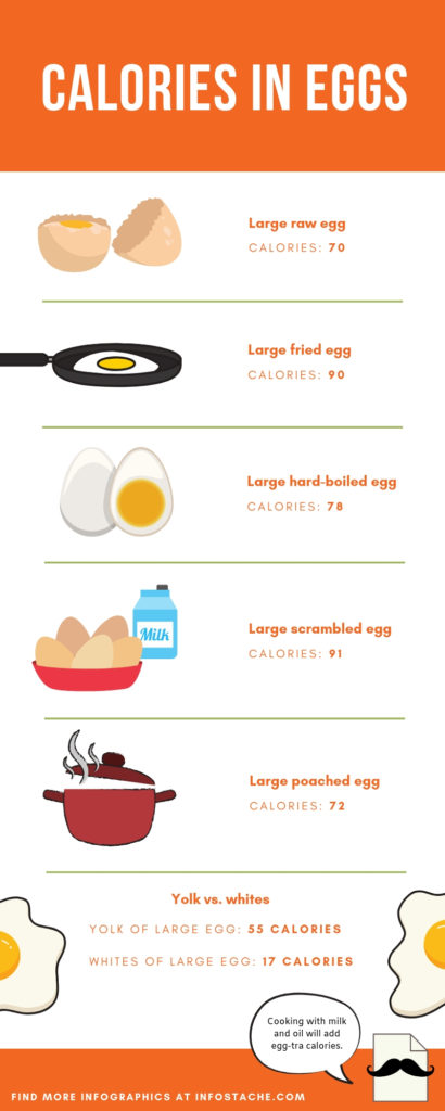 Calories in Eggs [Infographic] - Infostache