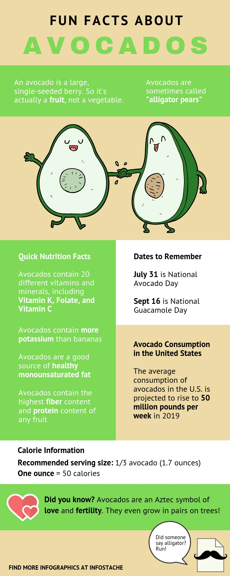 Fun Facts About Avocados - Infographic