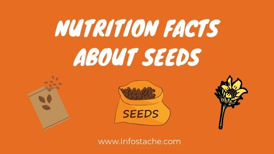 Nutrition Facts About Seeds