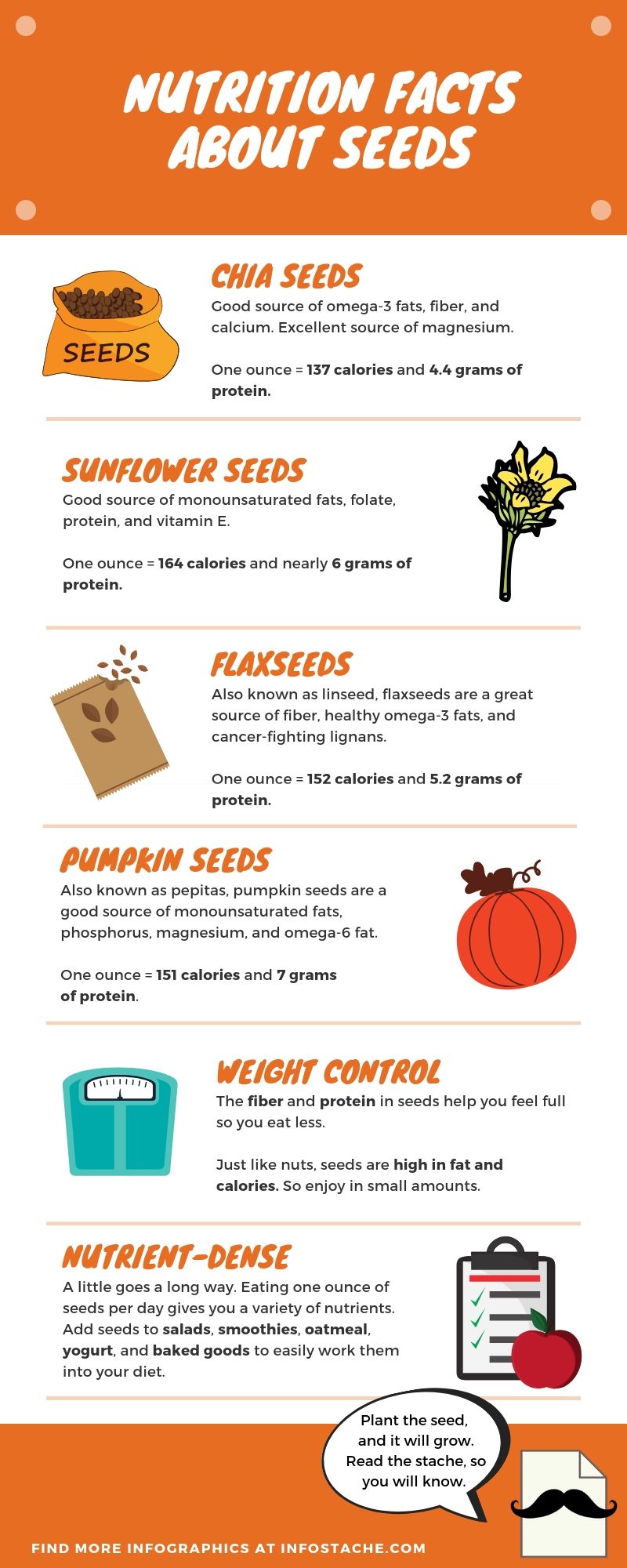 Nutrition Facts About Seeds Infographic Infostache