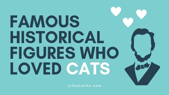 Famous Historical Figures Who Loved Cats