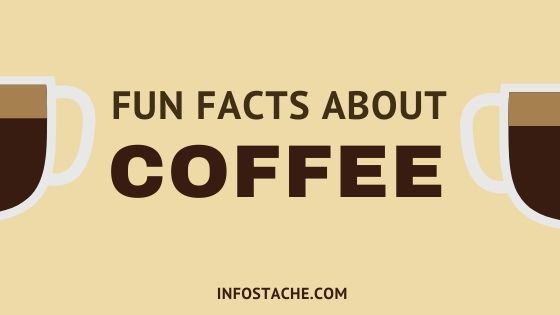 Fun Facts About Coffee