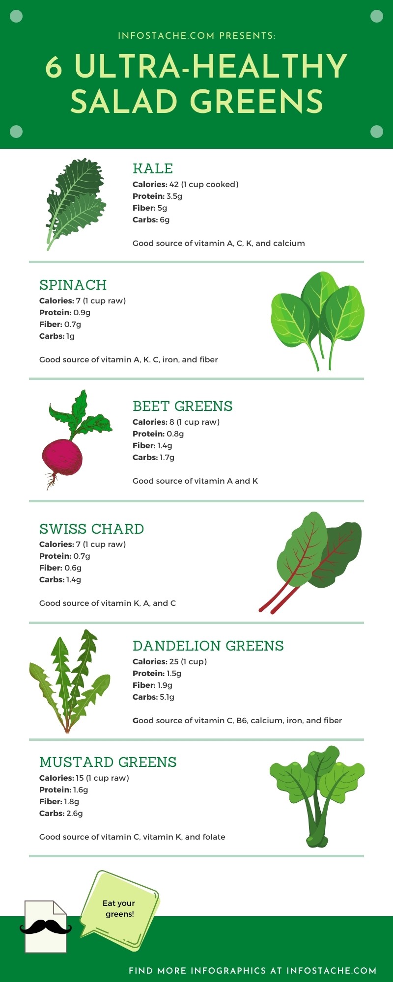 Healthy salad greens infographic